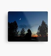 Warrior Cats - Silhouette Metal Print