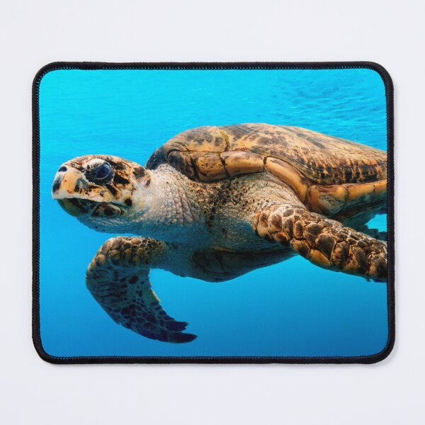 Item preview, Photograph of Sea Turtle in Crystal Blue Water designed and sold by ChelleCreate.