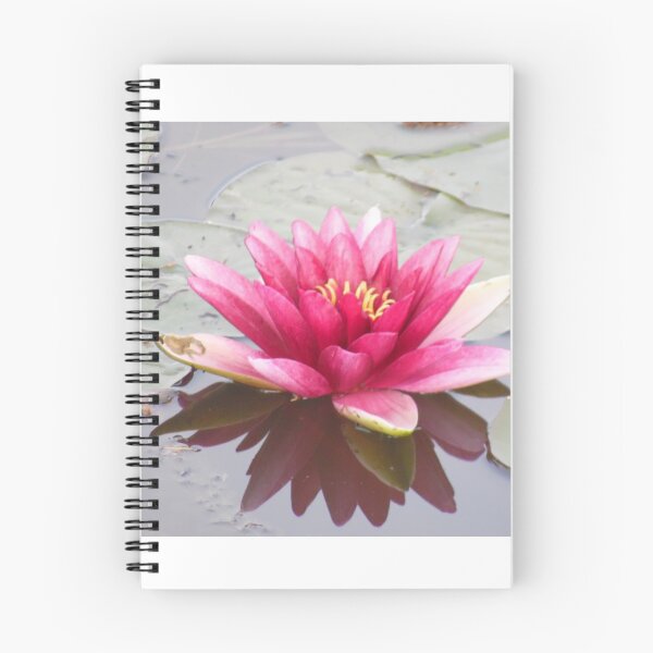 Item preview, Pink water lily at the pond designed and sold by rachariedel.
