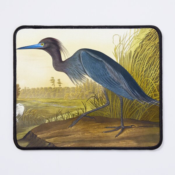 Item preview, Heron Bird Water Bird Lover Blue Heron Coastal Birds Bird Watching Gift for Bird Nerds I Love Birds Great Heron designed and sold by madeulaugh.