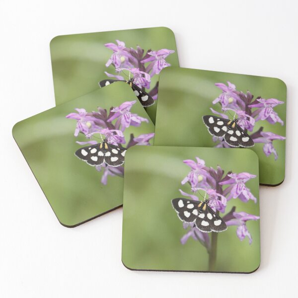 Item preview, Anania funebris designed and sold by Mythos57.