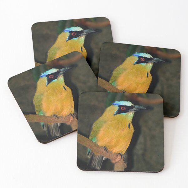 Item preview, Turquoise-browed Motmot designed and sold by Savannah Gibbs.
