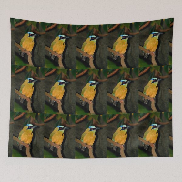 Item preview, Turquoise-browed Motmot designed and sold by Savannah Gibbs.