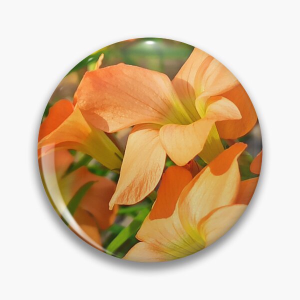 Item preview, Orange Macro Delight designed and sold by EventHorizon.