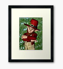 Leprechaun Framed Print