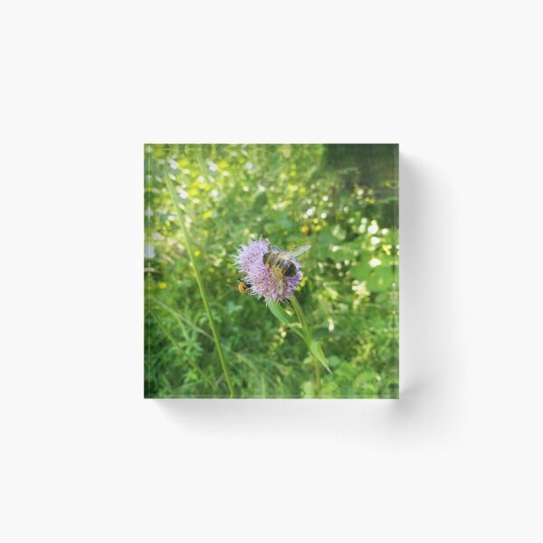 Item preview, Purple Wildflower with Bee designed and sold by katiamelnik.