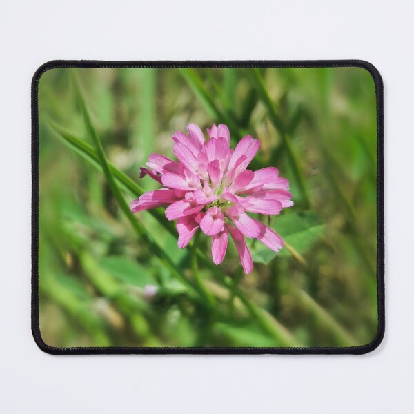 Item preview, Pink Meadow Minimalistic Flower designed and sold by katiamelnik.