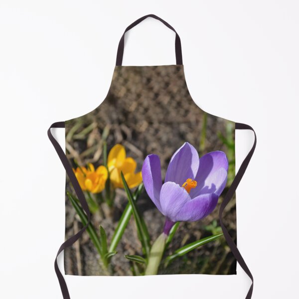 Item preview, Spring Purple and Yellow Crocus in Sunshine designed and sold by katiamelnik.