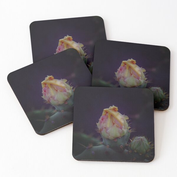 Item preview, Cactus Flower 6 designed and sold by bertsworks300.