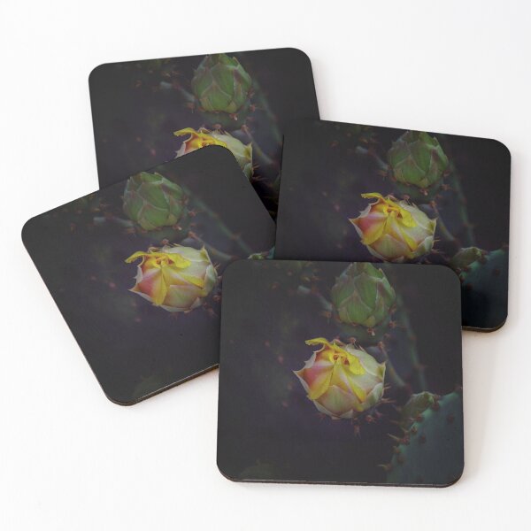 Item preview, Cactus Flower 5 designed and sold by bertsworks300.