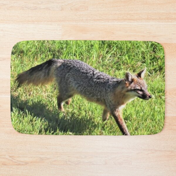 Item preview, Male gray Fox out for a hunt designed and sold by BellsPainting.