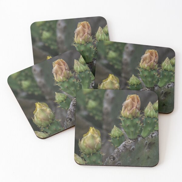 Item preview, Cactus Flower 3 designed and sold by bertsworks300.