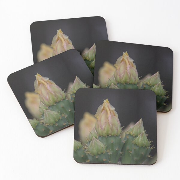 Item preview, Cactus Flower 2 designed and sold by bertsworks300.
