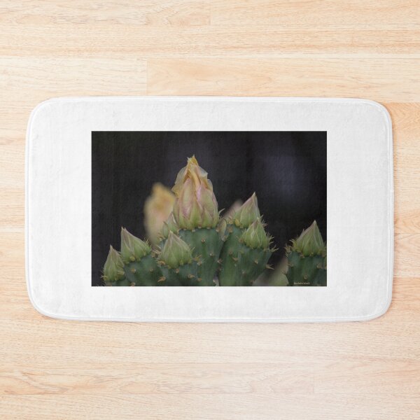 Item preview, Cactus Flower 2 designed and sold by bertsworks300.