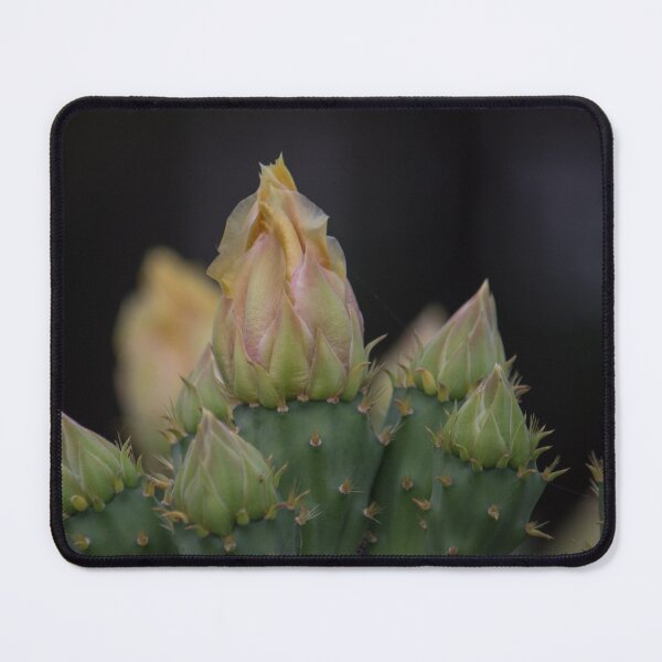 Item preview, Cactus Flower 2 designed and sold by bertsworks300.
