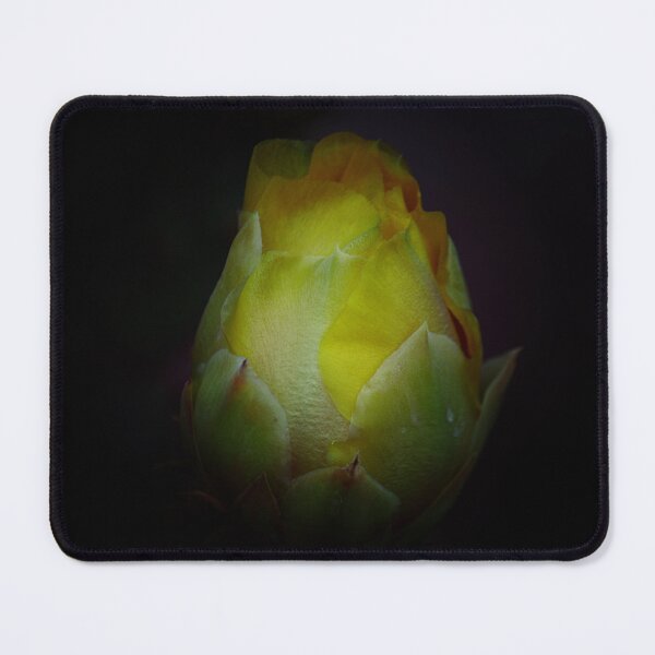 Item preview, Cactus Flower 1 designed and sold by bertsworks300.