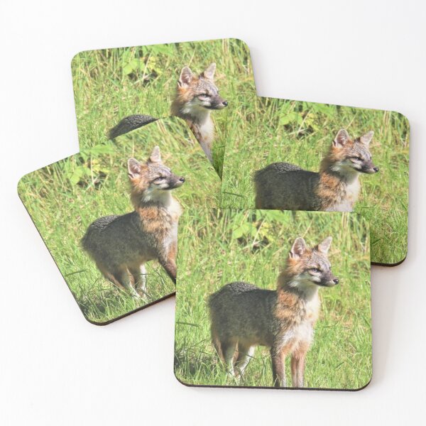 Item preview, Male gray Fox on point designed and sold by BellsPainting.