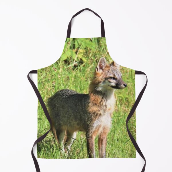 Item preview, Male gray Fox on point designed and sold by BellsPainting.