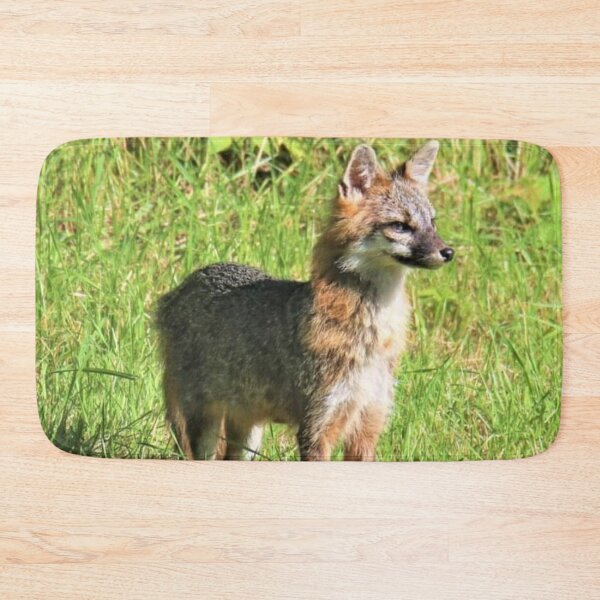 Item preview, Male gray Fox on point designed and sold by BellsPainting.