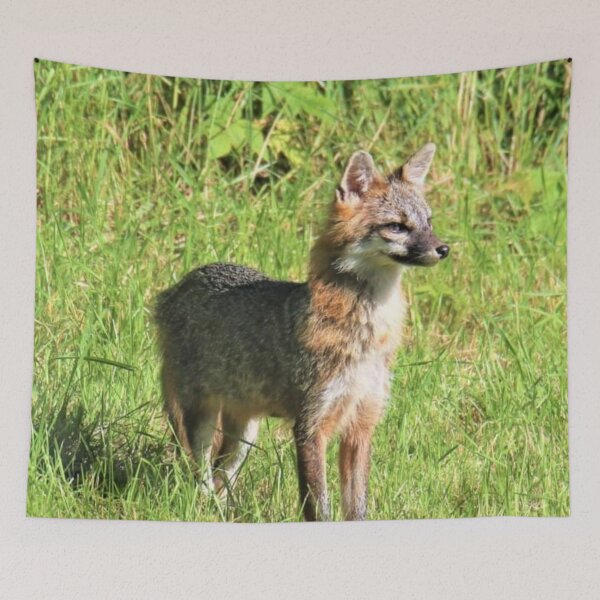 Item preview, Male gray Fox on point designed and sold by BellsPainting.