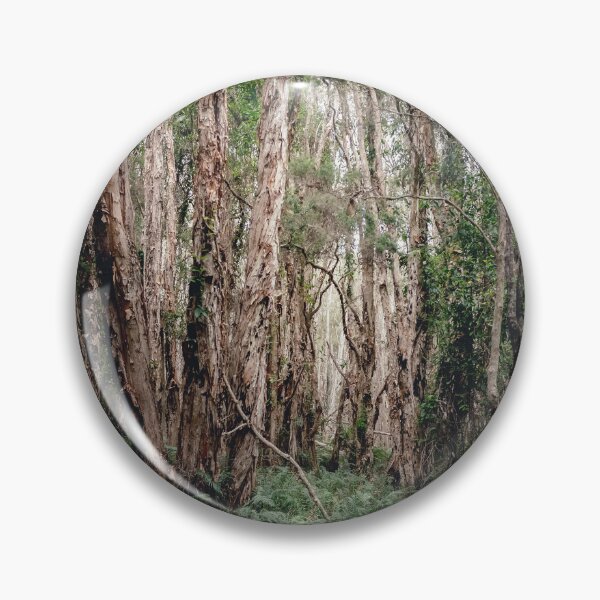 Item preview, /// Peace in the bush //// Landscape photography of the bush taken in South East Queensland, Australia  designed and sold by Est-Image-Co.