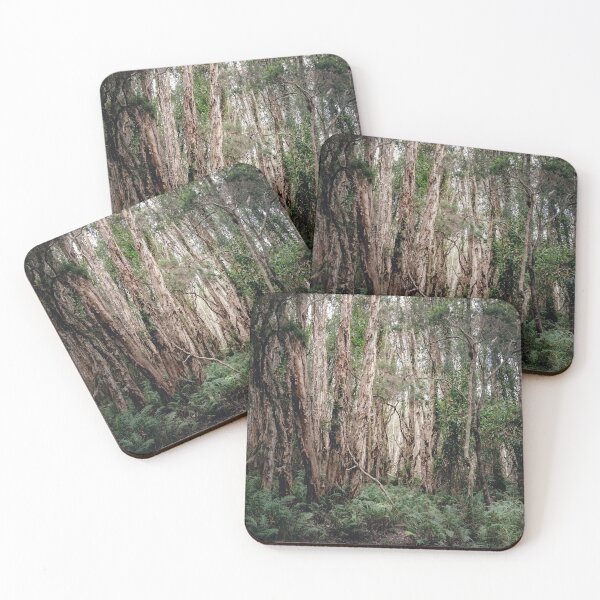 Item preview, /// Peace in the bush //// Landscape photography of the bush taken in South East Queensland, Australia  designed and sold by Est-Image-Co.