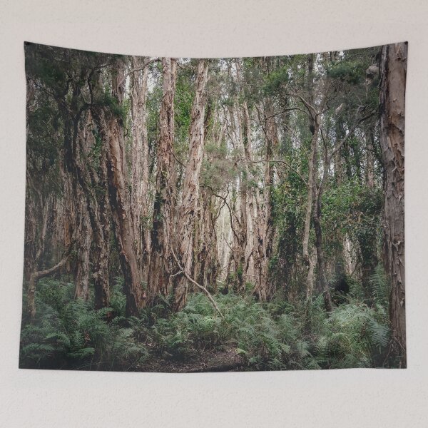 Item preview, /// Peace in the bush //// Landscape photography of the bush taken in South East Queensland, Australia  designed and sold by Est-Image-Co.