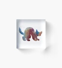 Cat Acrylic Block