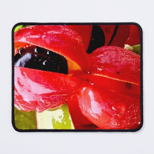 Item preview, Bursting With Life designed and sold by Geoff Treagus.