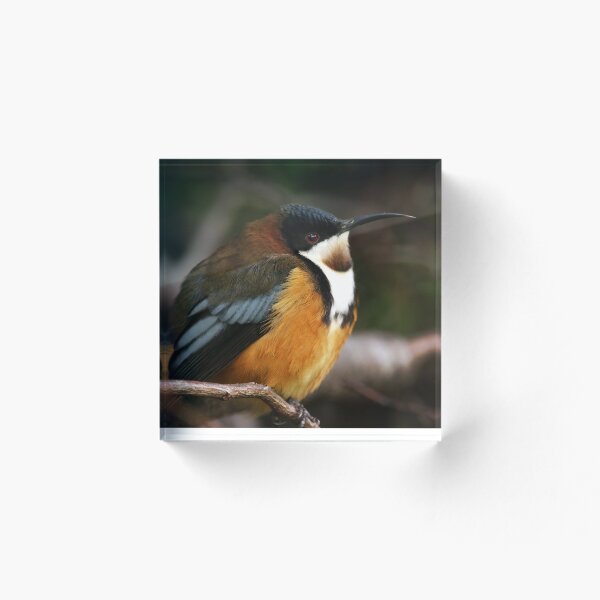 Item preview, Puffed up in the Cold designed and sold by Keren Smithies.