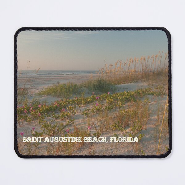 Item preview, St. Augustine Beach Dunes designed and sold by TinyCameraNinja.