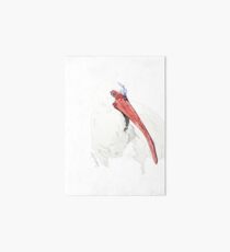 Ibis No.2 Art Board