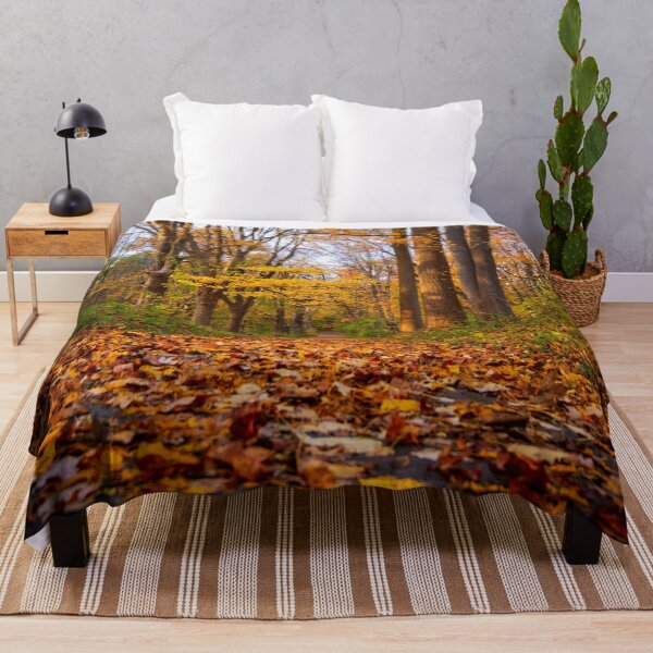 Item preview, Autumn Trails designed and sold by akiobsession.