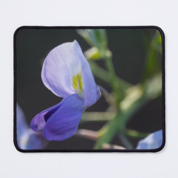 Item preview, Blooming Wisteria designed and sold by TinyCameraNinja.