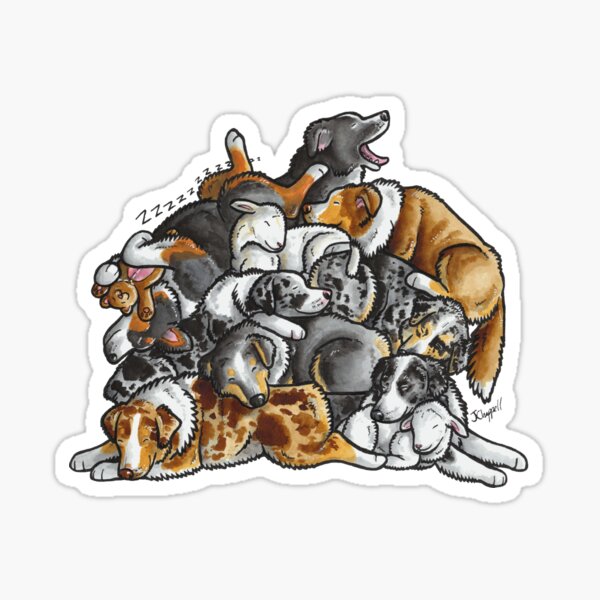 Sleeping pile of Australian Shepherd (Aussie) dogs Sticker