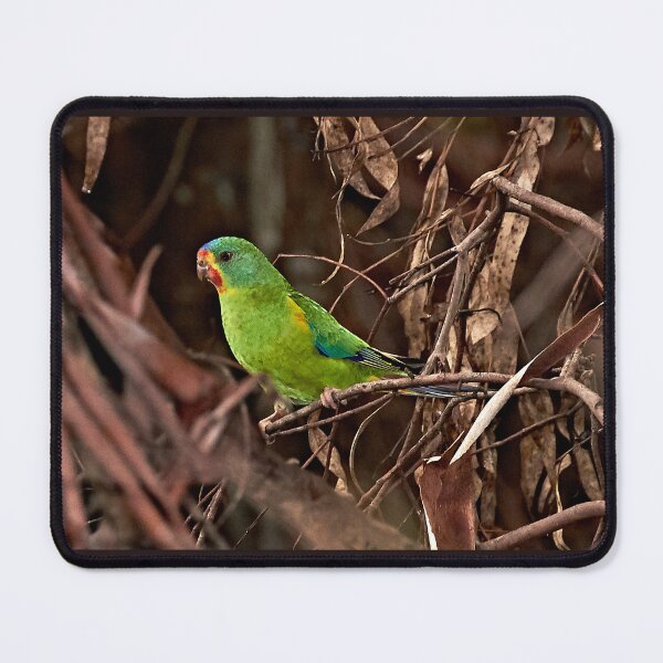 Item preview, Swift Parrot ~ Critically Endangered designed and sold by Robert Elliott.