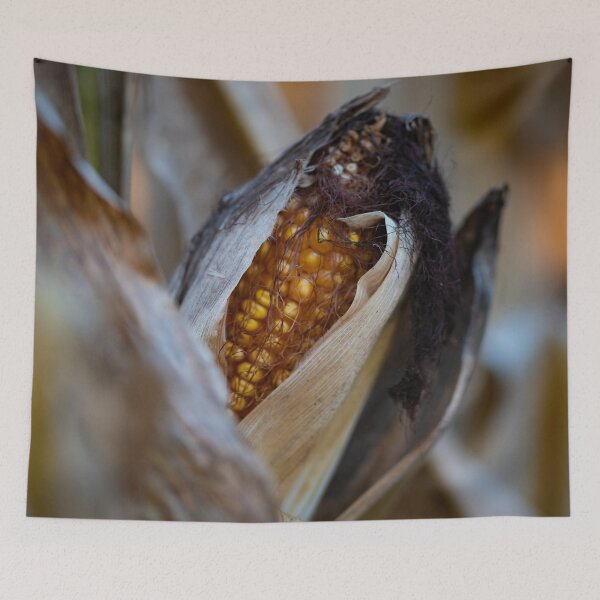 Item preview, Harvest designed and sold by akiobsession.