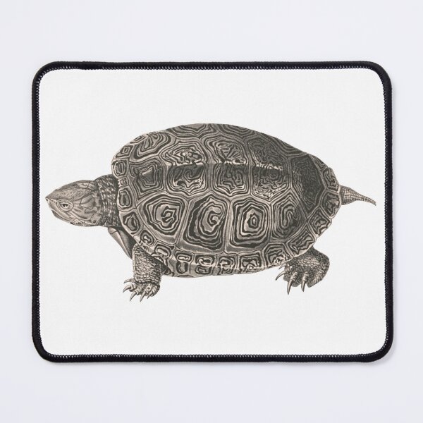 Item preview,  Cute Turtle Diamondback Terrapin Turtle Lover Pet Turtle Gift designed and sold by madeulaugh.