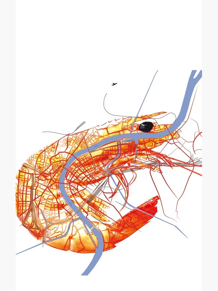 Basel Citymap Artwork | SHRIMP von procreaction