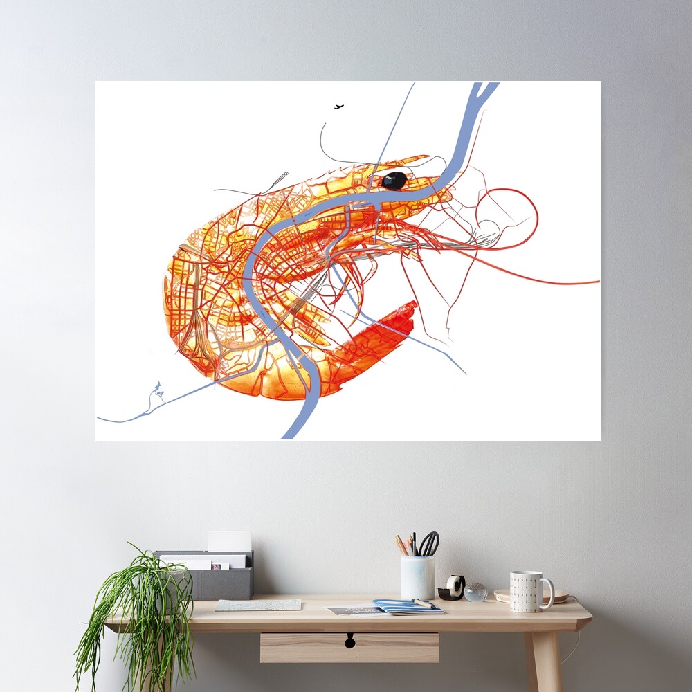 Basel Citymap Artwork | SHRIMP Poster