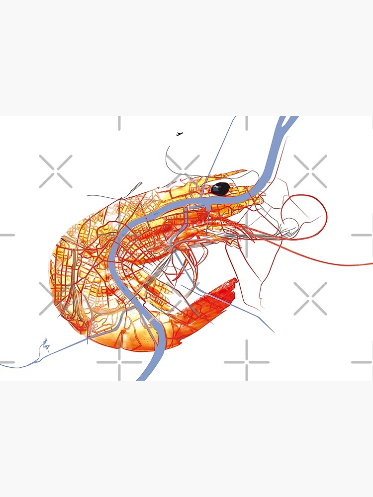 Basel Citymap Artwork | SHRIMP von procreaction
