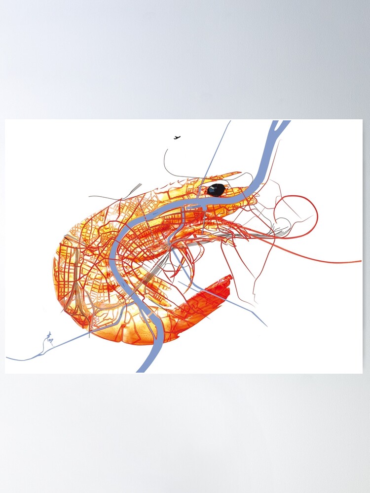 Alternative Ansicht von Basel Citymap Artwork | SHRIMP Poster
