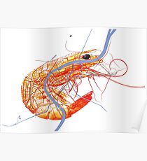 Basel Citymap Artwork | SHRIMP Poster