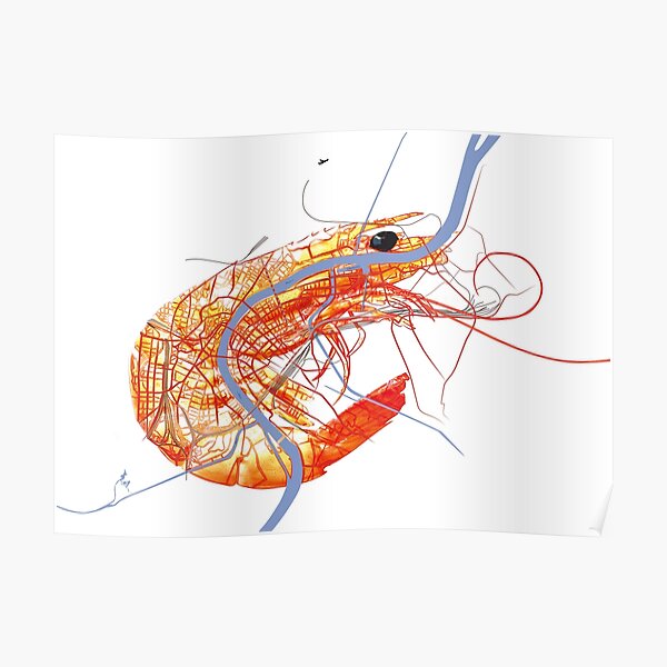 Basel Citymap Artwork | SHRIMP Poster