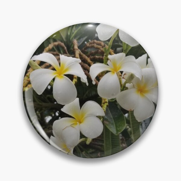 Item preview, Plumeria  designed and sold by DaBoop.