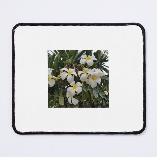 Item preview, Plumeria  designed and sold by DaBoop.