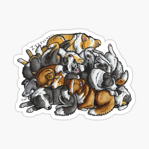 Sleeping pile of Border Collie dogs Sticker