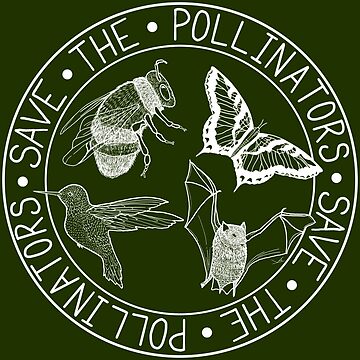Artwork thumbnail, Save the Pollinators - bee, hummingbird, butterfly, bat -large print by Fernheart Designs