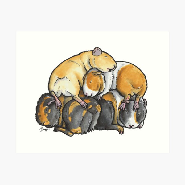 Sleeping pile of Guinea pigs Art Print