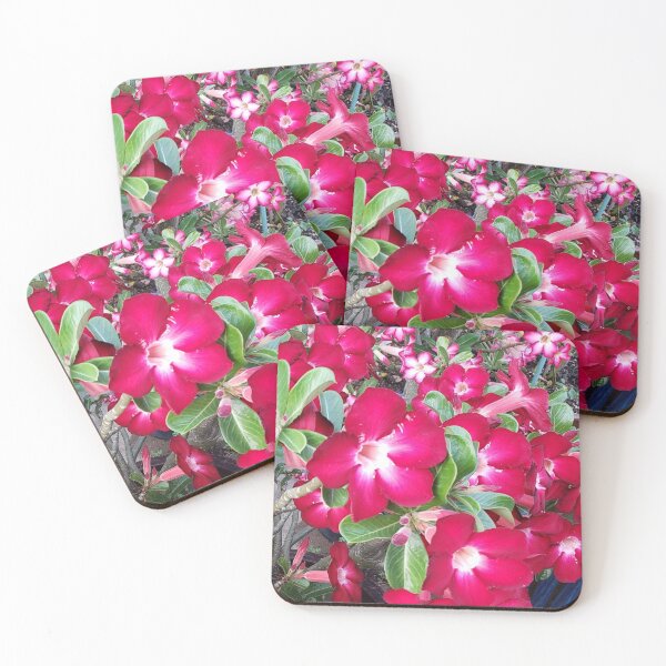 Item preview,  Adenium Obesom, Desert rose flowers.  designed and sold by imyournightmare.